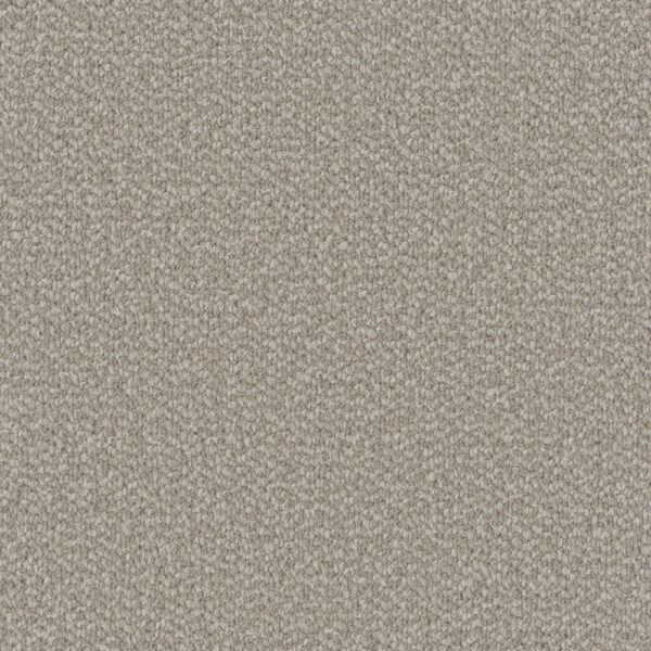 Dreamweaver Carpet Interstellar Ivory Coast Carpet 3236_2143