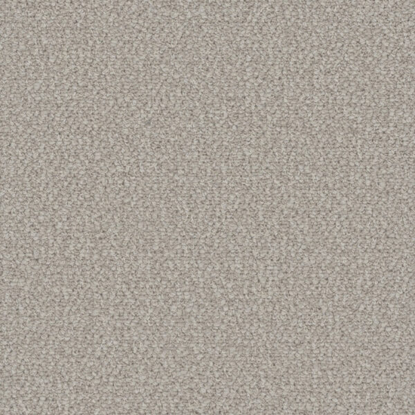 Dreamweaver Carpet Interstellar Bleached Wheat Carpet 3236_2279