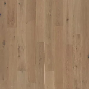 Karastan Cobble Path Oak BelleLuxe Natural Wood Cobble Path Oak
COLOR #447