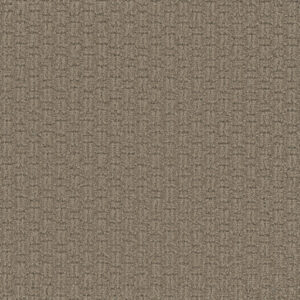Dreamweaver Carpet Grand Isle Tanglewood Carpet 3428_5069