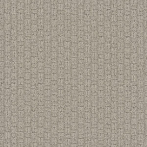 Dreamweaver Carpet Grand Isle Blizzard Blast Carpet 3428_5110