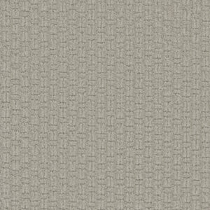 Dreamweaver Carpet Grand Isle Snow Canyon Carpet 3428_5170