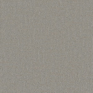 Dreamweaver Carpet Mystique Star Dust Carpet 3575_2070