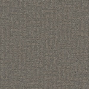 Dreamweaver Carpet Mystique Woodcrest Carpet 3575_2082