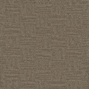 Dreamweaver Carpet Mystique Dusted Bronze Carpet 3575_2243