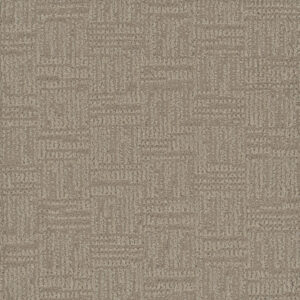 Dreamweaver Carpet Mystique Pale Birch Carpet 3575_5040