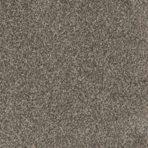 Dreamweaver Carpet Trendsetter I New Haven Carpet 3640_103