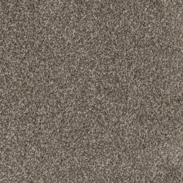 Dreamweaver Carpet Trendsetter II New Haven Carpet 3655_103