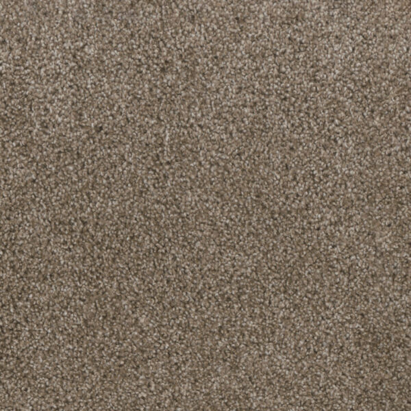 Dreamweaver Carpet Trendsetter I Oatlands Carpet 3640_201