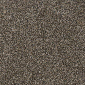 Dreamweaver Carpet Trendsetter I Russett Carpet 3640_217