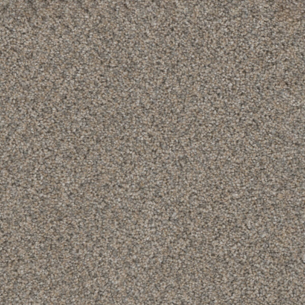 Dreamweaver Carpet Trendsetter II Glimmer Carpet 3655_262
