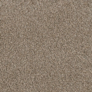Dreamweaver Carpet Trendsetter I Pelican Bay Carpet 3640_266