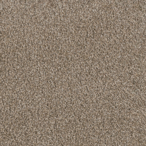 Dreamweaver Carpet Trendsetter II Pelican Bay Carpet 3655_266