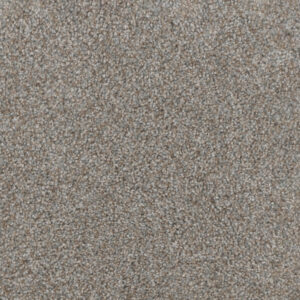 Dreamweaver Carpet Trendsetter I Crystal Clear Carpet 3640_302