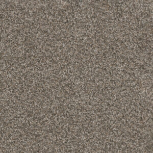Dreamweaver Carpet Trendsetter I Sageview Carpet 3640_327