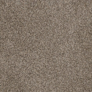 Dreamweaver Carpet Trendsetter I Soft Tan Carpet 3640_405