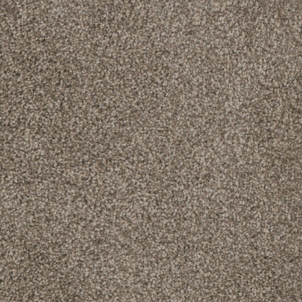 Dreamweaver Carpet Trendsetter II Soft Tan Carpet 3655_405