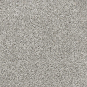 Dreamweaver Carpet Trendsetter I Sparkling Dew Carpet 3640_513