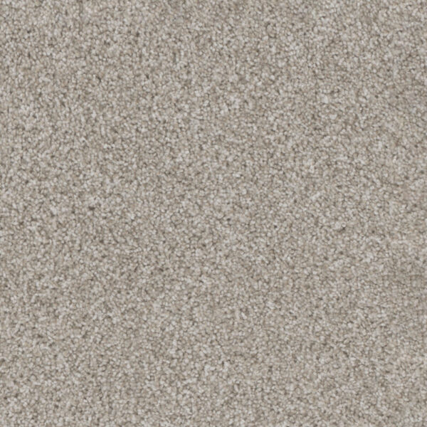 Dreamweaver Carpet Trendsetter I Acadia Carpet 3640_828