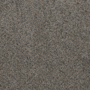 Dreamweaver Carpet Trendsetter I Ash Grove Carpet 3640_899