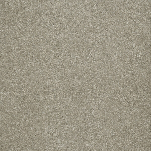 Dreamweaver Carpet Malibu III Cottonwood Carpet 3760_169
