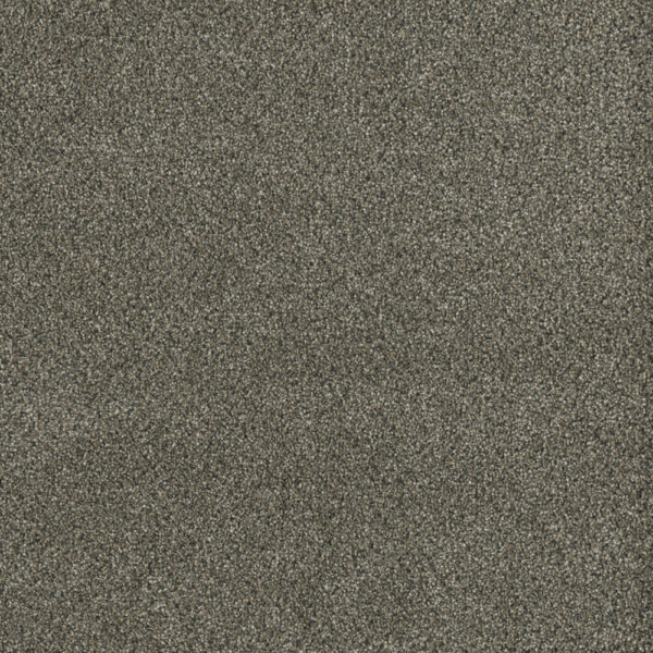 Dreamweaver Carpet Malibu III Brentwood Carpet 3760_258