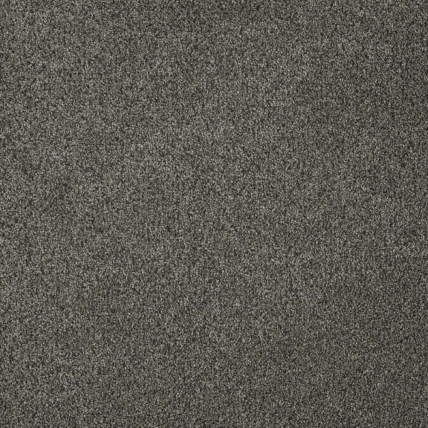 Dreamweaver Carpet Malibu I Smoky Quartz Carpet 3740_418