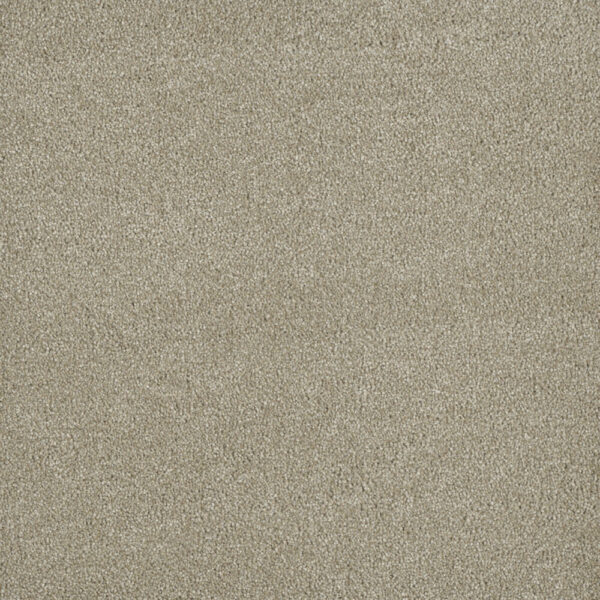 Dreamweaver Carpet Malibu II Oak Barrel Carpet 3750_430