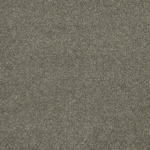 Dreamweaver Carpet Malibu III Cinnamon Tea Carpet 3760_528