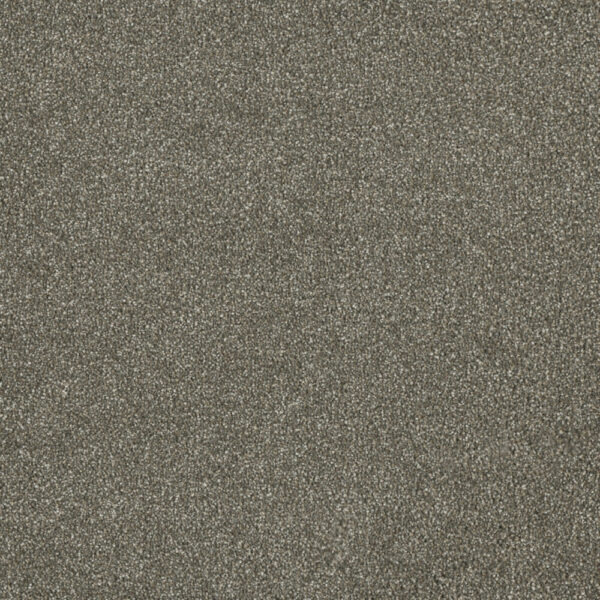 Dreamweaver Carpet Malibu III Cinnamon Tea Carpet 3760_528
