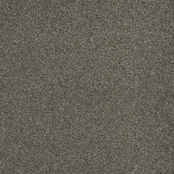 Dreamweaver Carpet Malibu II Baltic Birch Carpet 3750_622