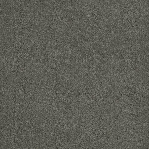 Dreamweaver Carpet Malibu II Clover Carpet 3750_859