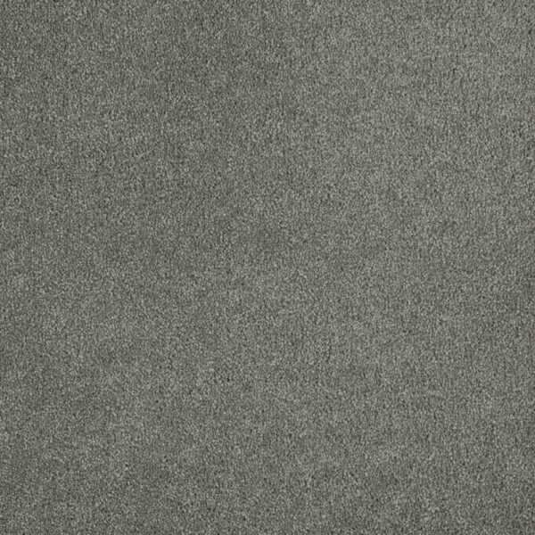 Dreamweaver Carpet Malibu II Dark Platinum Carpet 3750_889