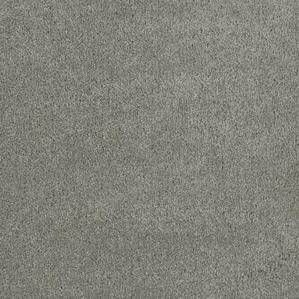 Dreamweaver Carpet Malibu II Shamrock Carpet 3750_973