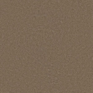 Dreamweaver Carpet Star Struck Cashew Carpet 4032_530