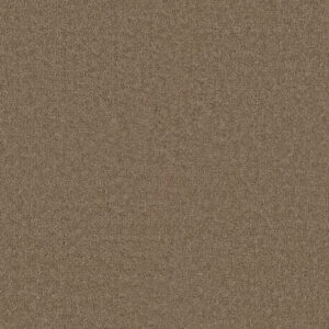 Dreamweaver Carpet Star Struck Bamboo Carpet 4032_565