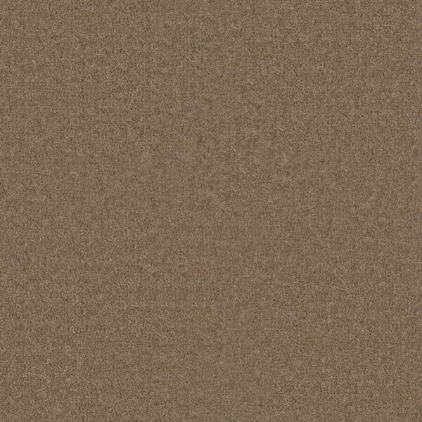 Dreamweaver Carpet Star Struck Bamboo Carpet 4032_565