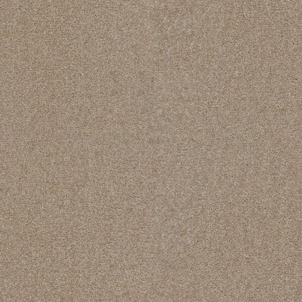 Dreamweaver Carpet Star Struck Sawgrass Carpet 4032_701