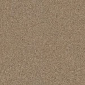 Dreamweaver Carpet Star Struck Sand Carpet 4032_710