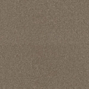 Dreamweaver Carpet Star Struck Quail Carpet 4032_725