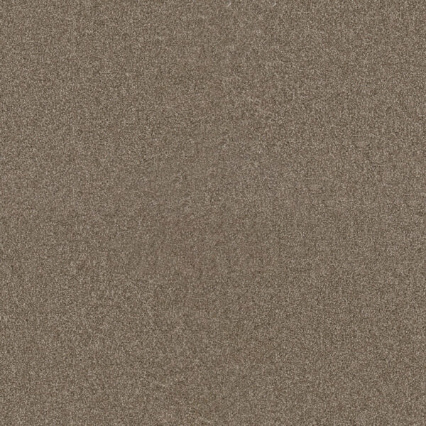 Dreamweaver Carpet Star Struck Quail Carpet 4032_725