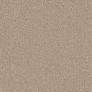 Dreamweaver Carpet Star Struck Ivory Carpet 4032_730