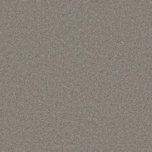 Dreamweaver Carpet Star Struck Dove Carpet 4032_800