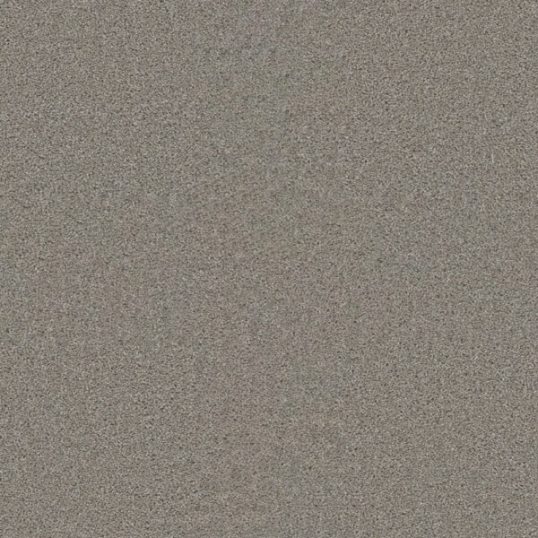 Dreamweaver Carpet Star Struck Dove Carpet 4032_800