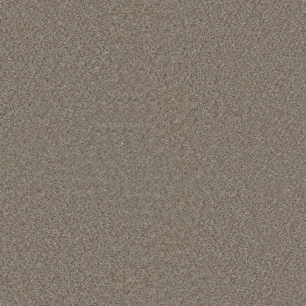 Dreamweaver Carpet Star Struck Iron Frost Carpet 4032_815
