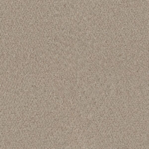 Dreamweaver Carpet Star Struck Linen Carpet 4032_824