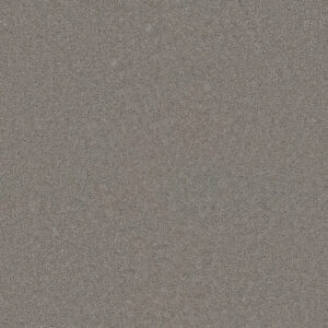 Dreamweaver Carpet Star Struck Chrome Carpet 4032_927