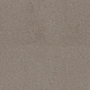 Dreamweaver Carpet Star Struck Ash Carpet 4032_945