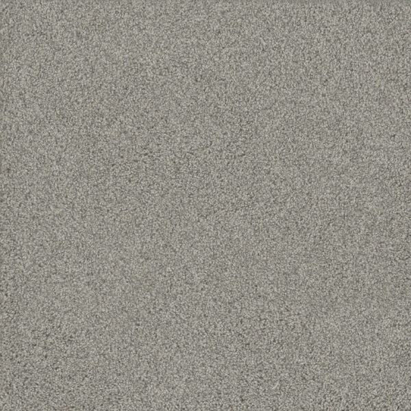 Dreamweaver Carpet No Limits III Beach Sand Carpet 9354_4064