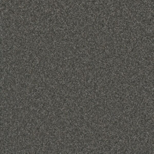Dreamweaver Carpet Gold Standard III Mica Carpet 4066_2185